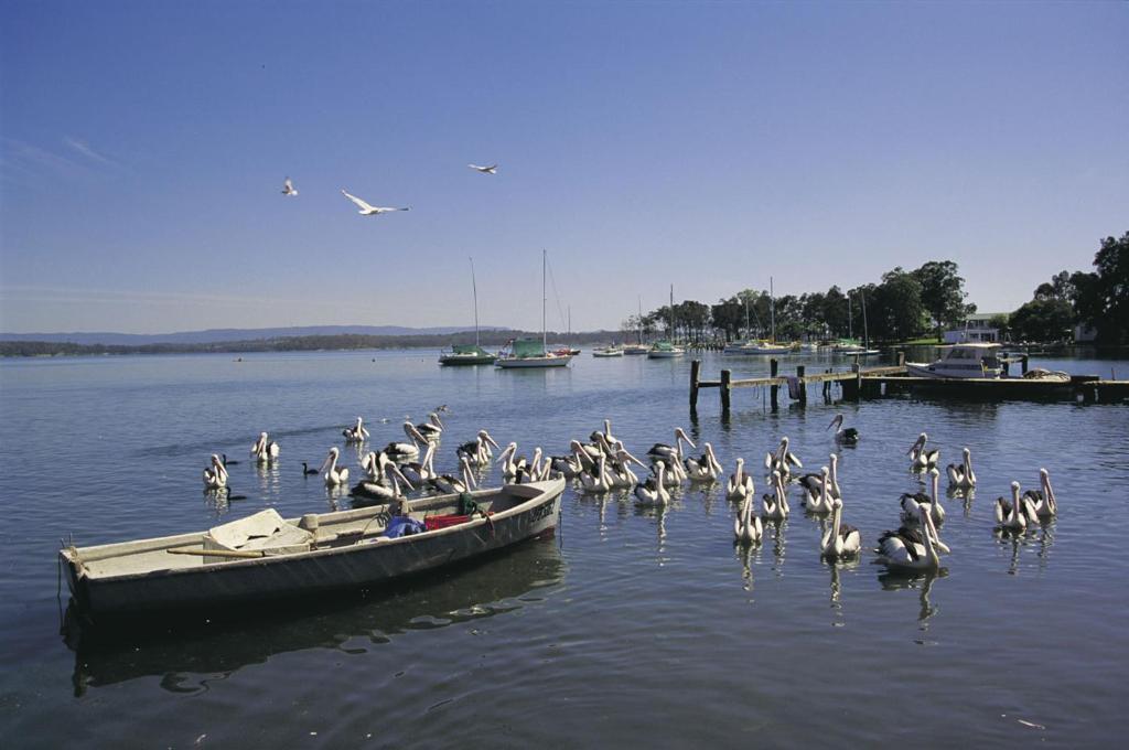 Black Swan Waterfront Motel (Adults Only) Swansea Exterior foto